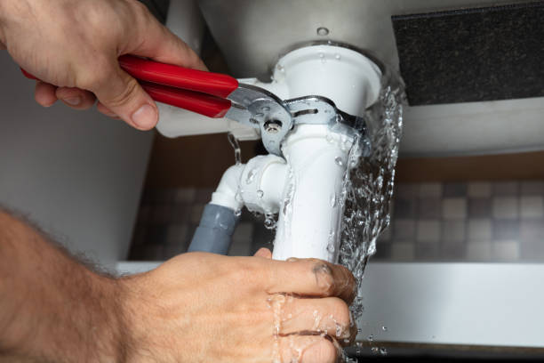Best Mold removal after water damage  in Hanapepe, HI
