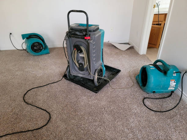 Best Residential water damage restoration  in Hanapepe, HI