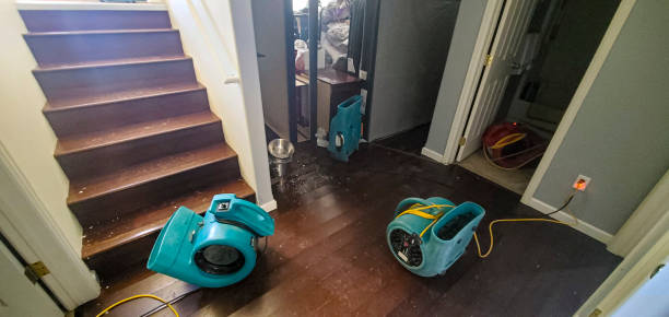 Best 24-hour water damage restoration  in Hanapepe, HI