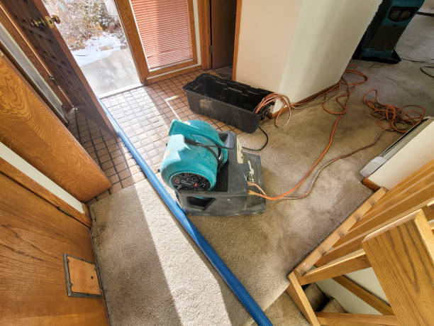 Best Water damage restoration near me  in Hanapepe, HI