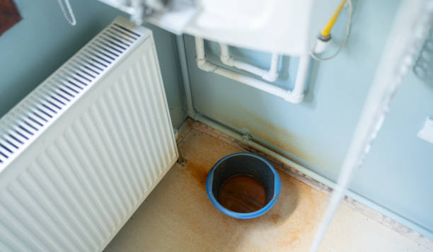Best Flood restoration services  in Hanapepe, HI