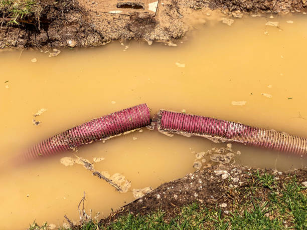 Best Water damage cleanup near me  in Hanapepe, HI