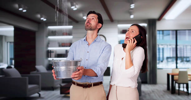 Best Water damage restoration near me  in Hanapepe, HI